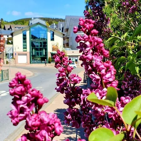 Hotel Sevda's Garni Weinforth 3*