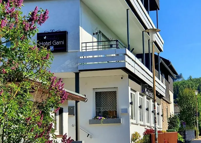 Hotel Sevda's Garni Weinforth 3*